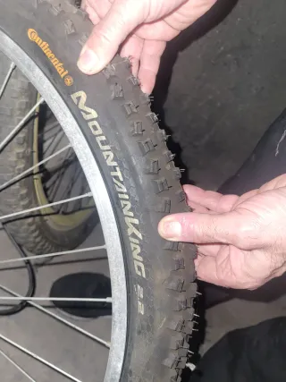 Bicicleta de Descenso