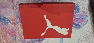 Zapatillas Puma Tarrenz SB Beige Nuevas