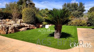 Césped Artificial 35 mm - Camelia 35