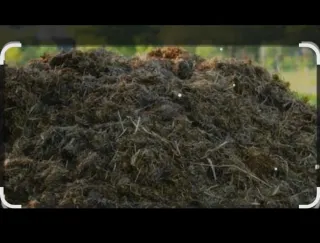 Estiércol de caballo para regalo