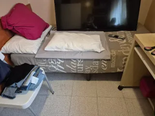 Cama individual con colchón y somier