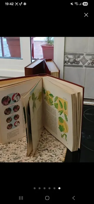 Lote Tomos Historia Sopena, 15 eur.