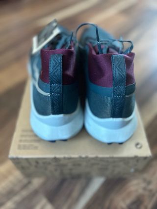 Nike Pegasus Trail 4 GTX V2 GoreTex