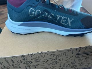 Nike Pegasus Trail 4 GTX V2 GoreTex