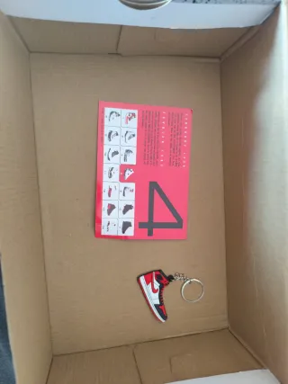 Jordan Retro 4 cactus jack