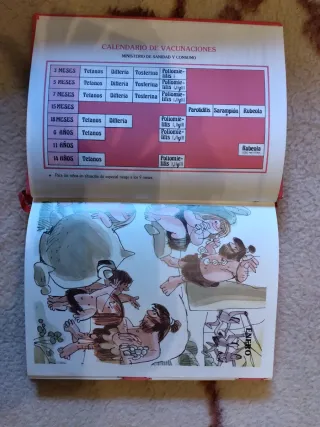 Agenda Ama de Casa 1987 Caja de Ahorros Asturias