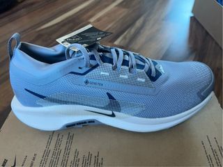 Zapatilla Nike Pegasus Trail 5 GTX Gore-Tex Azul/G