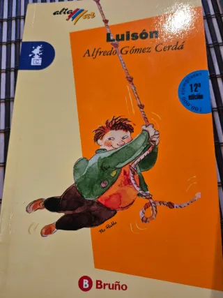 Lote 5 libros infantiles SM y Bruño