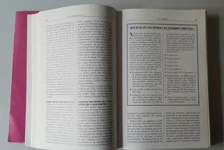 Llibre: Què es pot esperar quan s'està esperant