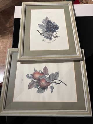 2 Cuadros Motivos Frutales 50x40