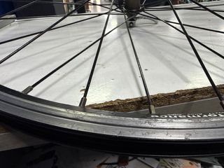 Rueda Orbea Special Wheels 24 delantera