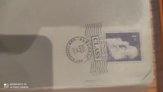 Zapatillas Ted Baker