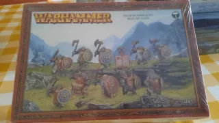 Warhammer Enanos Ironbreakers Caja Citadel