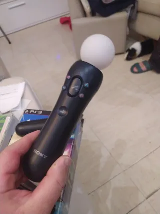 PlayStation Move sin juego