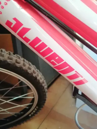 Bicicleta JL Wenti 20 niña