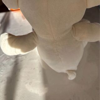 Orsetto peluche nuovo