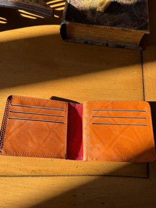 Cartera Billetera Diseño Dólar 100