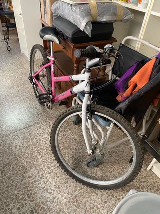 Bicicleta de Niña o Mujer