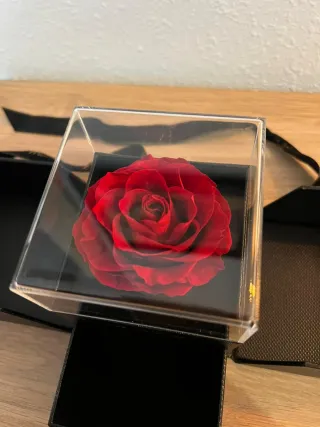 Rosa Eterna Roja en Caja Regalo con Cajón