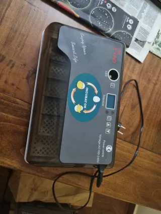 Incubatrice Uccelli Rettili Regolabile