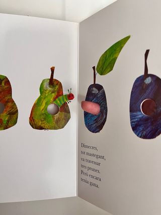 L'erugueta goluda (Catalan Edition) Libro - cuento