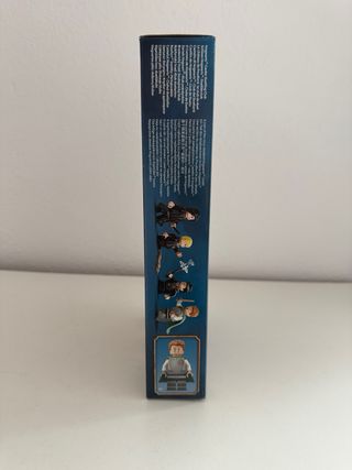 LEGO Harry Potter 76441 Hogwarts: Lezione di Duello