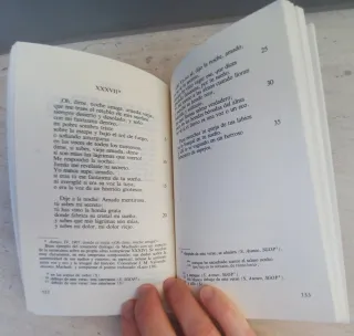 Soledades. Galerías. Otros poemas