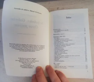 Soledades. Galerías. Otros poemas