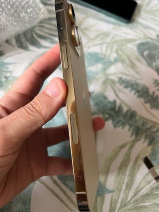 iPhone 13 Pro Max Oro