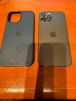 iPhone 13 Pro Max Gris