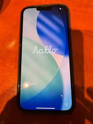 iPhone 13 Pro Max Gris