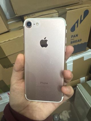 iPhone 7 128GB Rosa