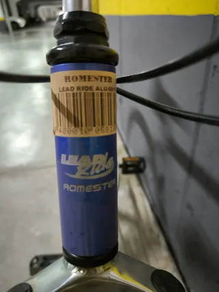 Bicicleta de Montaña Romester