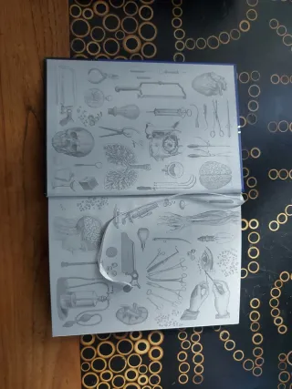 Frankenstein (Clásicos ilustrados) (Spanish Edi...