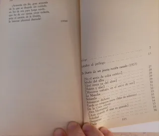 Antología poética 2 (1917-1935)