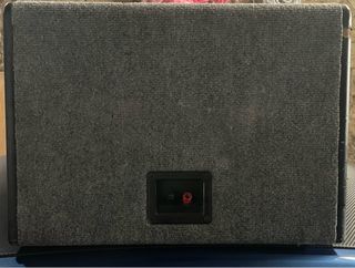 Subwoofer Pioneer con Etapa de Potencia coral