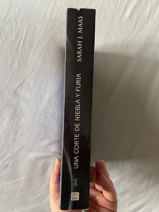 Una corte de niebla y furia