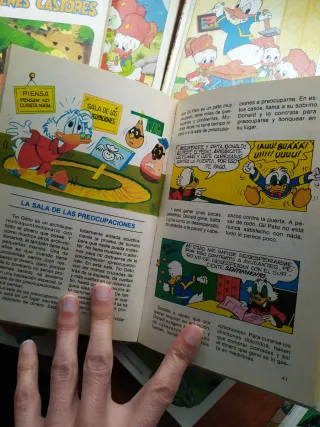 Biblioteca de los Jóvenes Castores