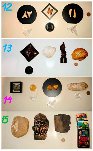 Colección Fósiles y Curiosidades