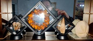 Colección Fósiles y Curiosidades