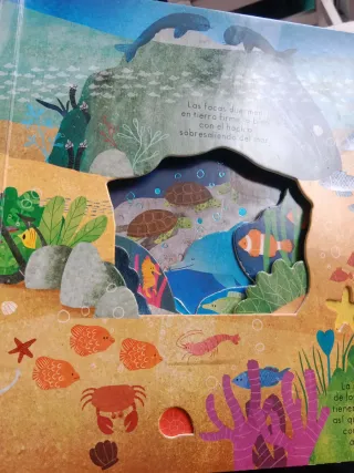 Lote de 6 libros infantiles