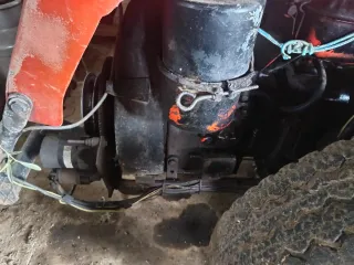 Pascuali para restaurar