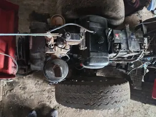 Pascuali para restaurar