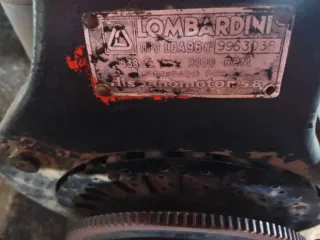 Pascuali para restaurar