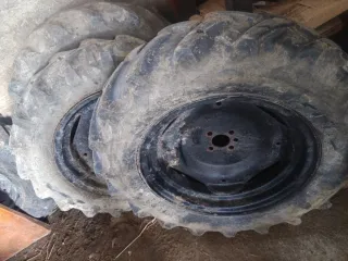 Pascuali para restaurar