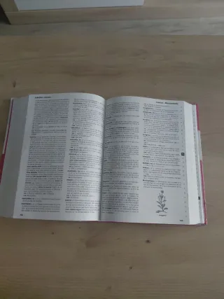 NUEVO DICCIONARIO ESCOLAR DE LA LENGUA ESPAÑOLA...