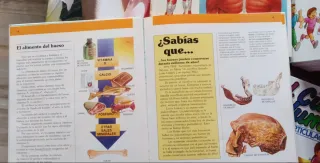 Colección libros El cuerpo humano