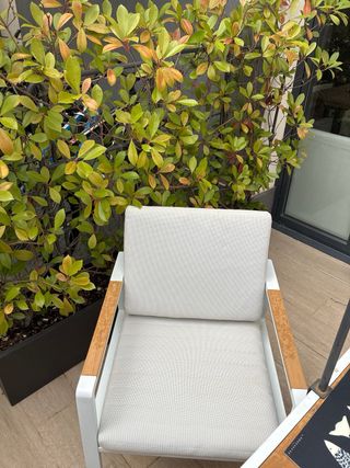 Mesa Comedor exterior 8pax Madera y Aluminio