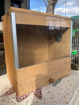 Educador Jilguero Madera y Cristal