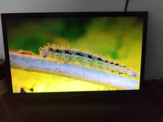 Pantalla ViewSonic 22 averiada